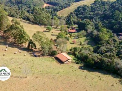 Venda: Fazenda com 52 Alqueires em MG